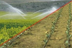 مزارعی که آب خراسان شمالی را سر می‌کشند / آبیاری نوین مرهمی بر زخم خشکسالی