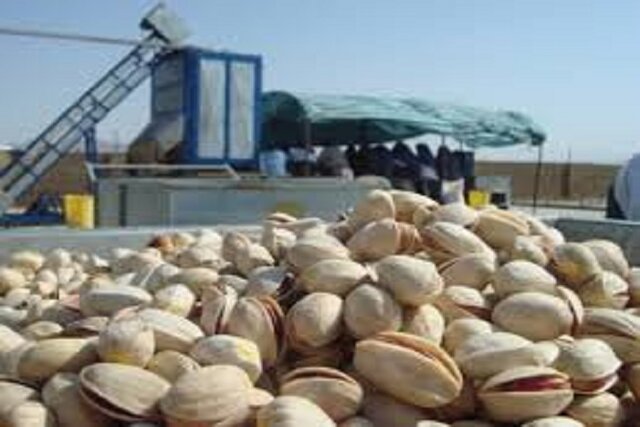 نیاز خراسان شمالی به ترمینال‌های پسته برای افزایش کیفیت محصول