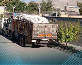 چوب تاغ قاچاق در پوست پسته در خراسان شمالی