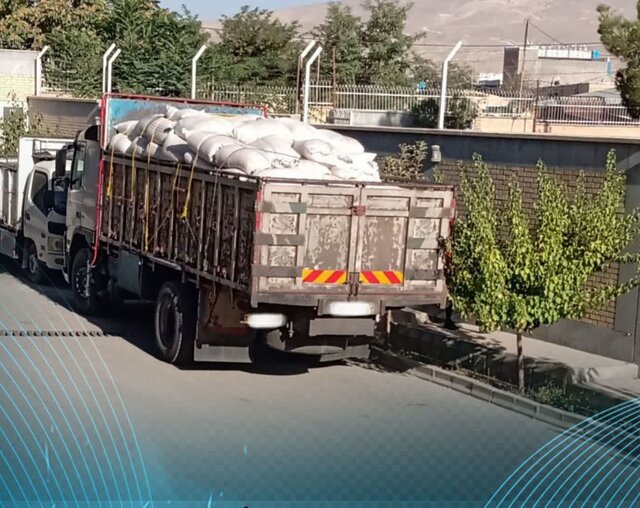 چوب تاغ قاچاق در پوست پسته در خراسان شمالی