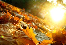 افزایش قابل توجه دمای خراسان شمالی در آغاز فصل پاییز