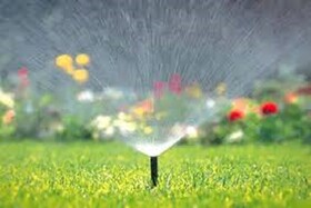 جایگزینی پساب برای آبیاری فضای سبز ضروری است