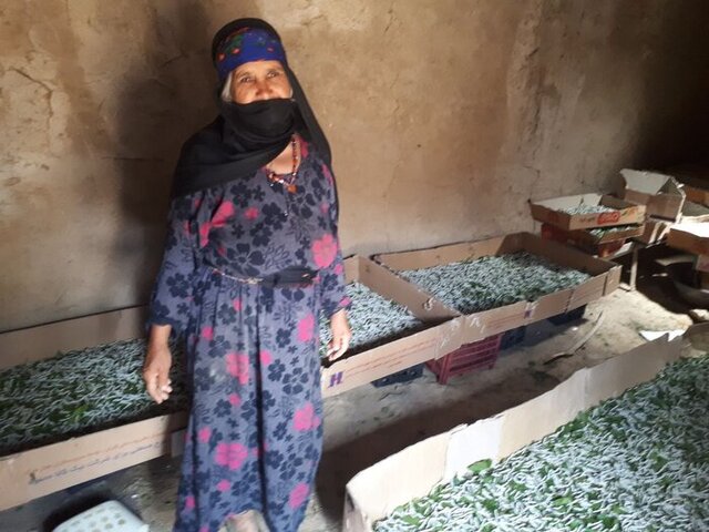 ثبت جهانی و ملی ۳ شهر و روستای خراسان شمالی در دستور کار میراث‌ فرهنگی