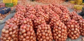 خرید و ذخیره سازی ۲۰۰۰ تن پیاز توسط تعاون روستایی خراسان شمالی