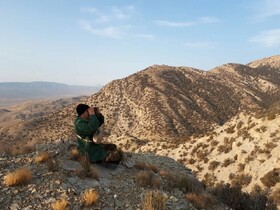 آغاز سرشماری پاییزه پستانداران در خراسان شمالی