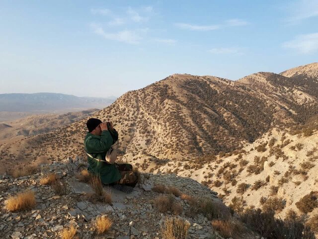 آغاز سرشماری پاییزه پستانداران در خراسان شمالی آغاز سرشماری پاییزه پستانداران در خراسان شمالی
