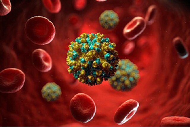 ارائه خدمات رایگان هپاتیت درمراکز مشاوره بیماری‌های رفتاری خراسان شمالی