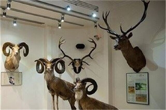 خواب دوباره موزه حیات وحش طبیعی خراسان شمالی بعد از ۱۲ سال