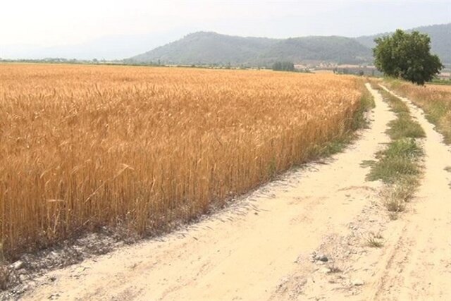 اجرای ۲۴۵ کیلومتر عملیات بهسازی و مرمت جاده‌های بین‌مزارع در خراسان شمالی