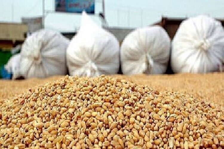 تزریق ۹۰۰۰ تن نهاده به بازار دام و طیور فارس