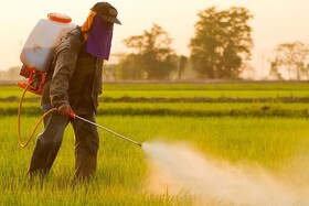 کاهش مصرف سموم و کنترل آفات در خراسان شمالی