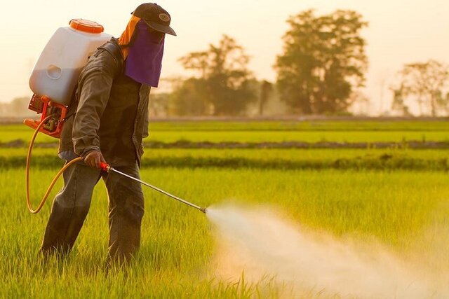 کاهش مصرف سموم و کنترل آفات در خراسان شمالی
