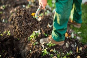 حفظ میراث طبیعی بجنورد با اصلاح ساختار خاک