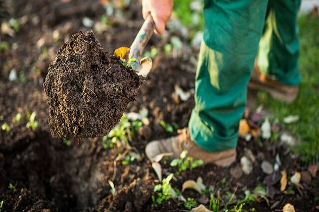 حفظ میراث طبیعی بجنورد با اصلاح ساختار خاک