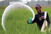 توزیع ۸۵۹۰ تن کود برای کشاورزان خراسان شمالی 