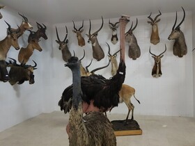 خراسان شمالی صاحب موزه تاریخ طبیعی می‌شود؟