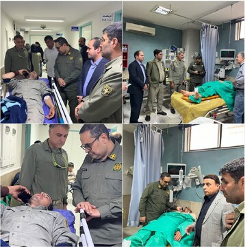 حمله خرس به ۲ محیط بان در پارک ملی گلستان