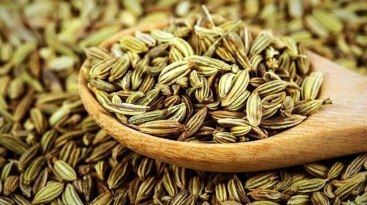 خراسان شمالی در رتبه هفت کشوری تولید زیره سبز