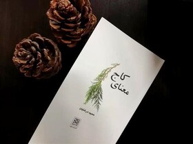 مجموعه شعر "معنای کاج" منتشر شد