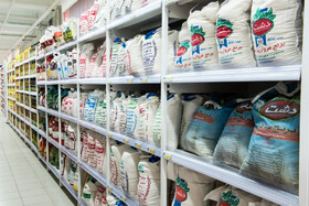 در هزارتوی افزایش قیمت برنج