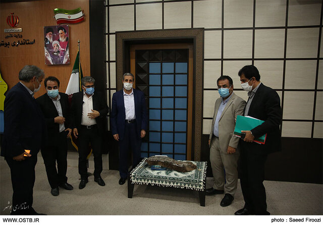 رونمایی از کیت بومی تشخیص بیماری ویروسی لکه سفید در استان بوشهر