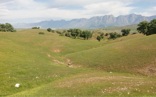 بازگشت بیش از ۱۰۰۰ هکتار از اراضی ملّی به بیت‌المال در  ۸ ماهه نخست امسال 