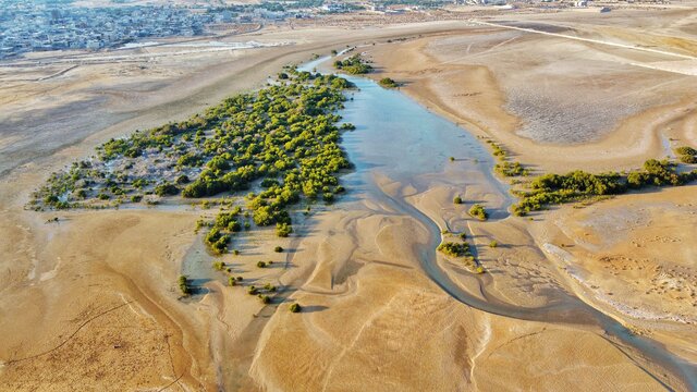 جای امیدواری است آقای رئیسی