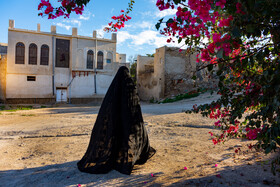 گلهای کاغذی در کوچههای آشتیکنان بوشهر