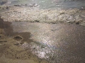 تکرار حمله لکه‌های نفتی به جزیره خارگ