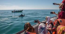 ارائه خدمات گردشگری دریایی به ۱۰ هزار مسافر در گناوه
