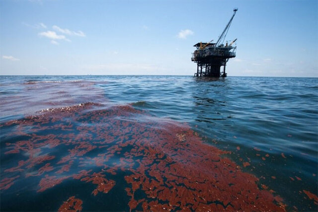 صدور جریمه ۱۰ میلیون تومانی به یک شرکت خارگی برای آلوده کردن دریا
