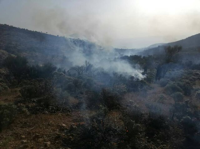 آتش در ارتفاعات دشتستان ادامه دارد /زمان پایان حریق قابل پیش‌بینی نیست