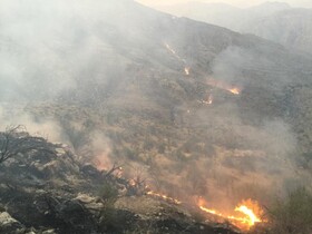 آتش‌سوزی در کوه گیسکان مهار شد