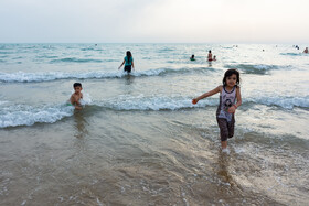سواحل بوشهر در این روزهای کرونایی