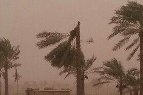 وقوع بارش‌های پراکنده در استان بوشهر