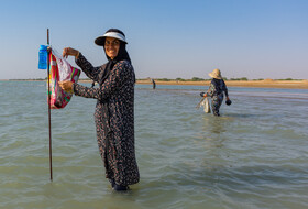 زنان جزیره شمالی، روستایی در نزدیکی گناوه استان بوشهر بر طبق سنتی دیرینه  با استفاده از کاسه و طعمه در ماهی (هواسین) صید میکنند.