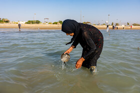 زنان جزیره شمالی، روستایی در نزدیکی گناوه استان بوشهر بر طبق سنتی دیرینه  با استفاده از کاسه و طعمه در ماهی (هواسین) صید می‌کنند.