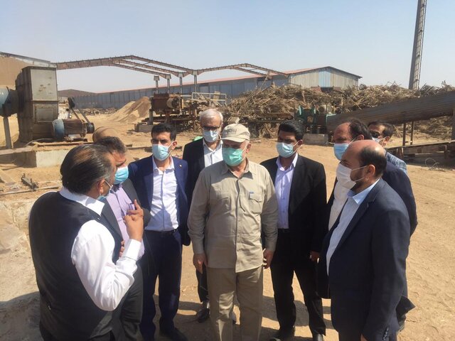 تقویت تولید و اشتغال در اولویت برنامه‌های مدیریت استان بوشهر است