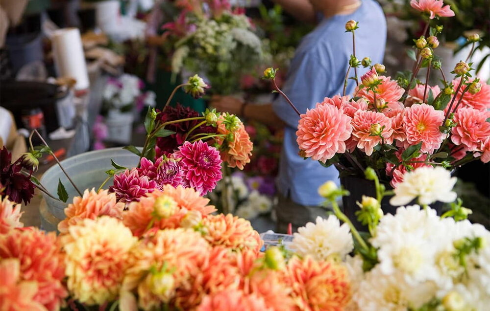 تیغ بازار گل در دست مشتری