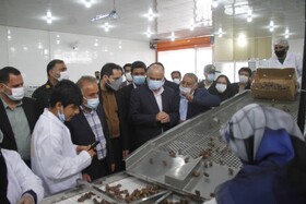 افتتاح کارخانه بسته‌بندی خرما در دشتستان