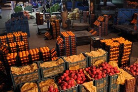 عرضه میوه نوروزی از امروز در ۹۲ نقطه استان همدان