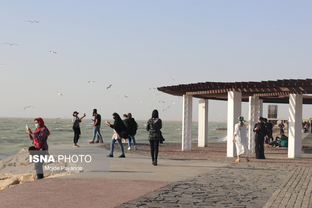 استاندار بوشهر: ضعف‌های زیرساختی گردشگری استان رفع شود