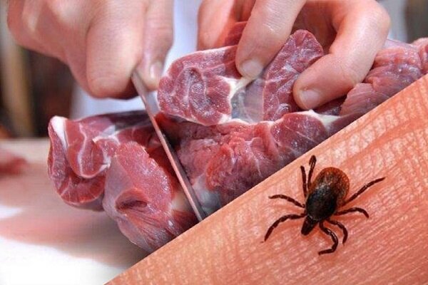 تب، گلو درد، سرگیجه و بی‌ حالی از علائم تب کنگو