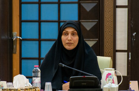 اعلام برنامه‌های هفته دولت در استان بوشهر