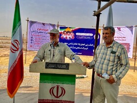 پرونده زمین خواران در بوشهر را سیاه می‌کنیم