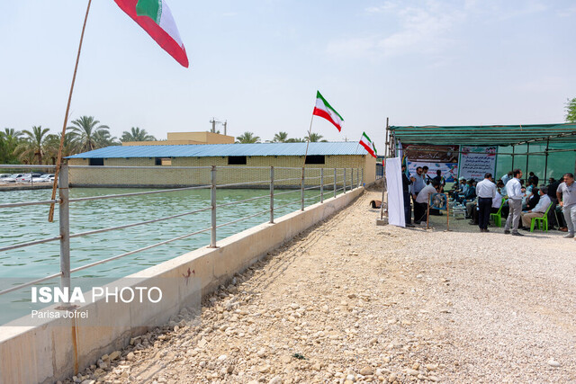 اولین روز هفته دولت در بوشهر