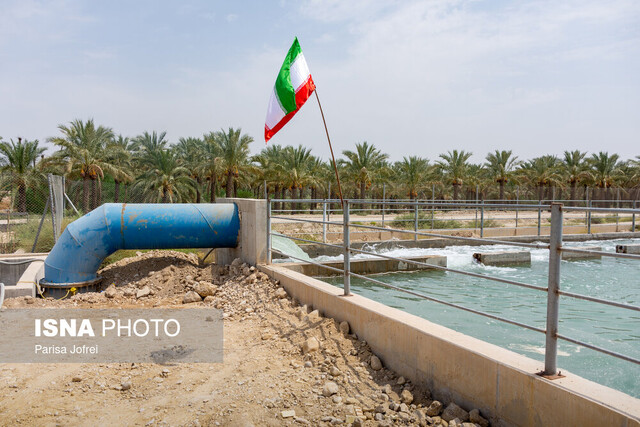 اولین روز هفته دولت در بوشهر