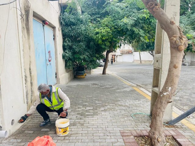 اجرای طرح مبارزه با جوندگان موذی در محلههای بوشهر اجرای طرح مبارزه با جوندگان موذی در محلههای بوشهر