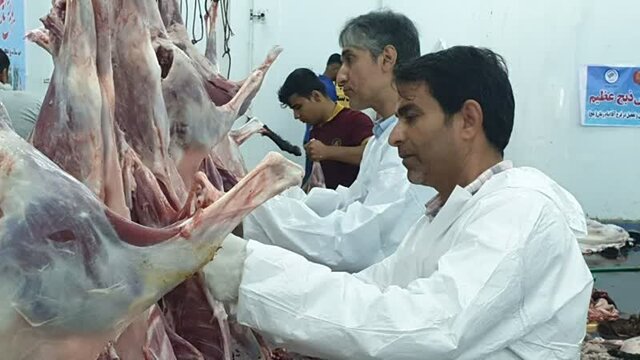 تمهیدات ویژه‌ دامپزشکی بوشهر برای عید قربان