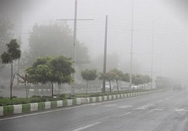 گرما و رطوبت بالای هوا در استان بوشهر